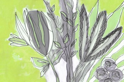 Produtos Botânicos Verdes Frescos de Lori Ann Folz