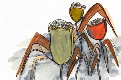 Formas florais suaves de Lori Ann Folz