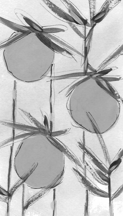 Organic Ink Botanicals de Lori Ann Folz