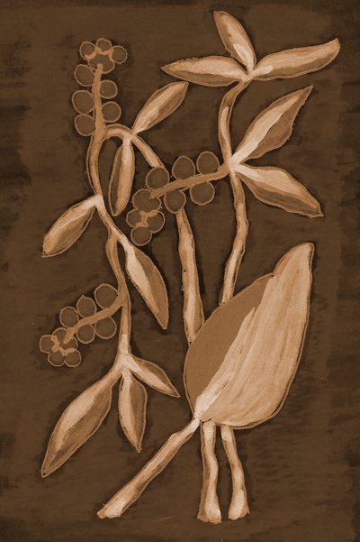 Produtos Botânicos Orgânicos da Sepia de Lori Ann Folz