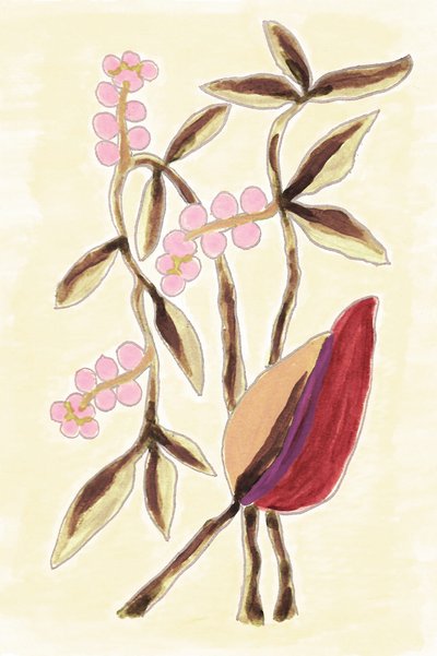 Pink Berry Botanicals de Lori Ann Folz