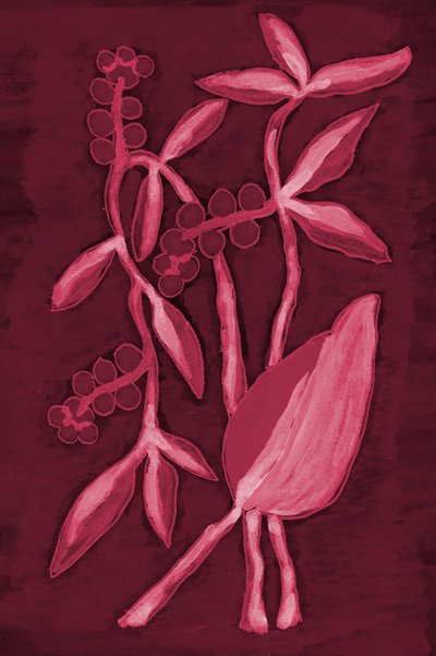 Vagem 1 Vermelho Cereja de Lori Ann Folz