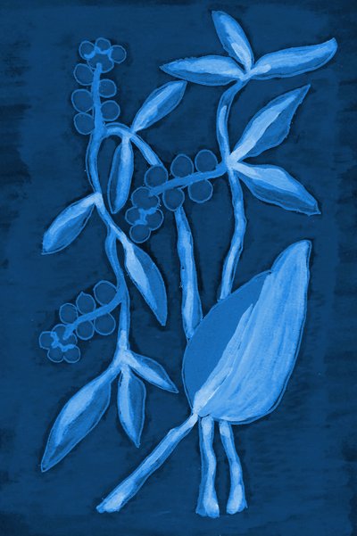 Vagem 1 Azul Escuro de Lori Ann Folz