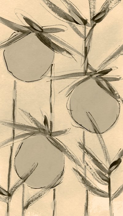 Plantas de algodão sépia de Lori Ann Folz