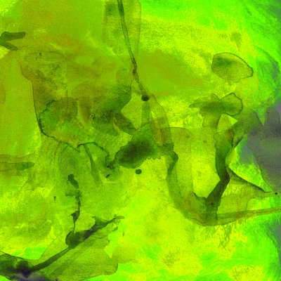 Abstrato Fluido em Verde Vibrante de Lori Ann Folz