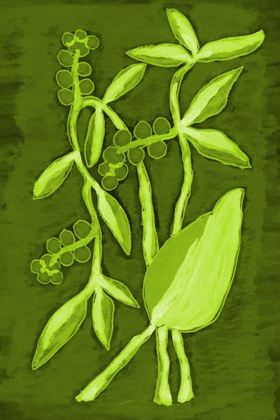 Folhagem verde vibrante de Lori Ann Folz