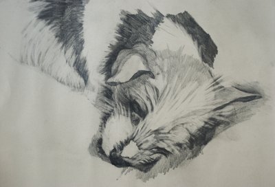 Jack Russel, 2015, de Lou Gibbs