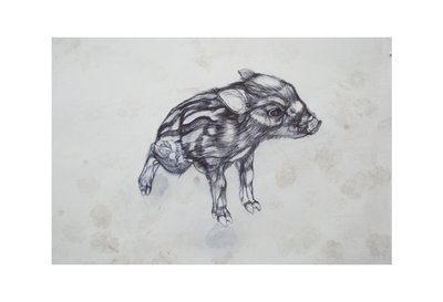 Porquinho, 2015, (bic biro no papel) de Lou Gibbs