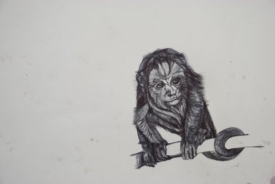 Monkey Business, 2016, (bic biro no papel) de Lou Gibbs