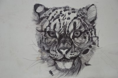 Snow Leopard, 2016, (bic biro no papel) de Lou Gibbs