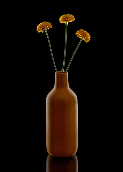 Vaso castanho «Warm Flowers» de Louie Luo