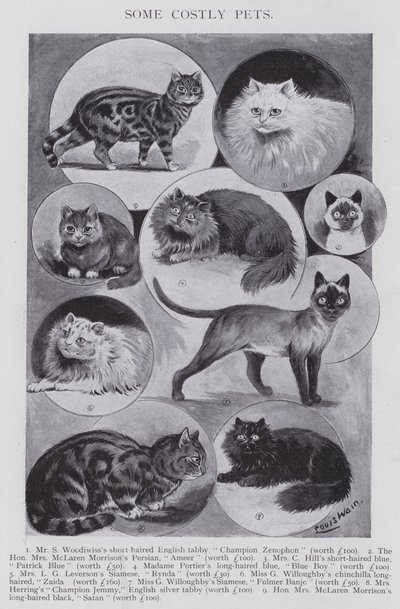 Alguns animais de estimação caros (litho) de Louis (after) Wain