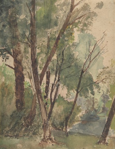 Trees Beside a Pond, 1853-1878. de Louis Antoine Leon Riesener