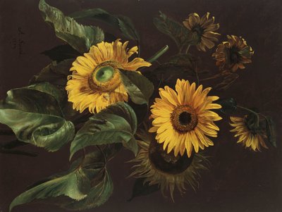 Girassóis, 1839 de Louis Apollinaire Sicard