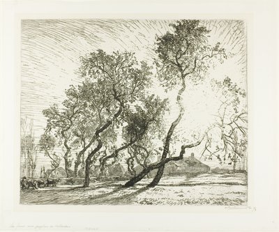 Quinta com choupos holandeses de Louis Auguste Lepère