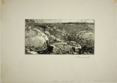 O Circo do Long-Rocher de Louis Auguste Lepère