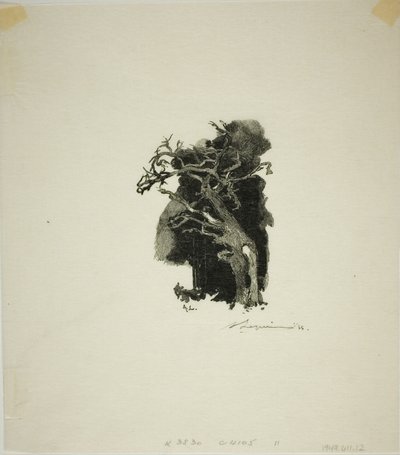 O Spitfire de Louis Auguste Lepère