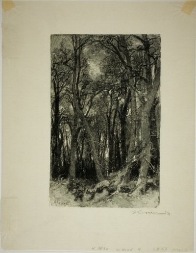 inverno: Bas-Bréau de Louis Auguste Lepère