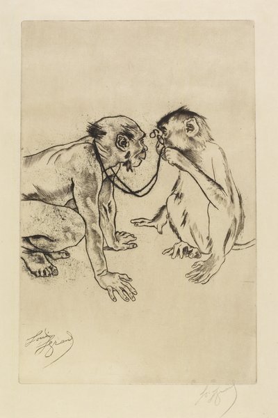 Anatomia comparativa de Louis Auguste Mathieu Legrand