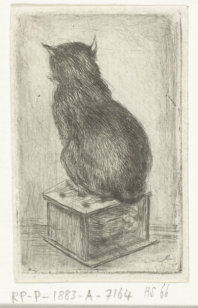 Gato sentado em um fogão de Louis Bernard Coclers