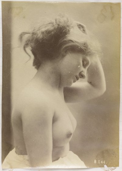 Estudo de uma mulher nua, busto visto de lado, a segurar o cabelo de Louis Bonnard