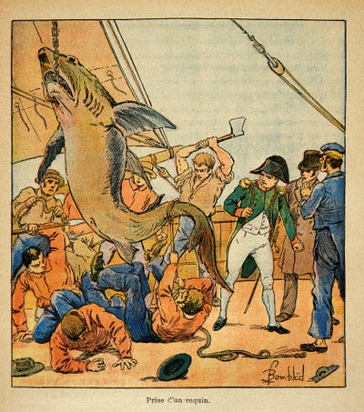 Ilustração de Bombled Louis (1862-1927) do livro "The Memorial of St. Helene" do Conde Emmanuel de Las Cases (1766-1842): O Imperador Napoleão assiste à captura de um tubarão a bordo da Northumberland, Coleção Particular de Louis Charles Bombled