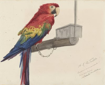 Papagaio. 1879 de Louis Charles Bombled