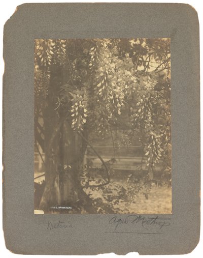 Estúdios Tiffany, c.1898-1920 (fotografia a preto e branco) de Louis Comfort Tiffany