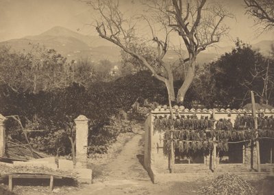 Cena Agrícola com Montanhas, 1850s. de Louis Crette