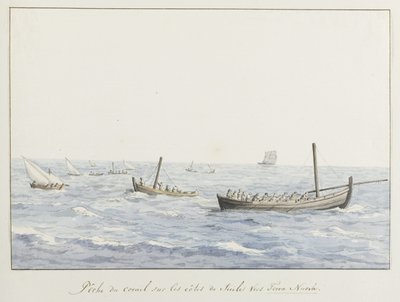 Pescadores de coral ao largo da costa da Sicília, ao largo de Terra Nuova
Pêche du corail sur les côtes de Sicile vers Terra Nuova (título sobre o objecto)
Voyage en Italie, en Sicile et à Malte - 1778 (título da série) de Louis Ducros