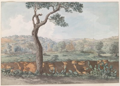 Ruïne van Castor en Pollux tempel binnen muren van oude Agrigento
Vista das ruínas do Templo de Castor & Pollux dentro das paredes do antigo Agrigentum (título sobre o objecto)
Viagem a Itália, Sicília e Malta - 1778 (título da série) de Louis Ducros