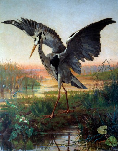 A garça. Ilustração para a fábula "A garça e o caracol" de Jean de La Fontaine de Louis Emile Villa