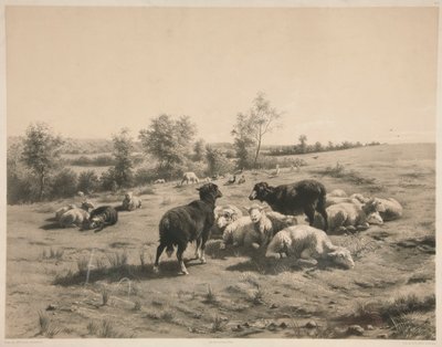 As ovelhas de Louis Emmanuel Soulange Teissier