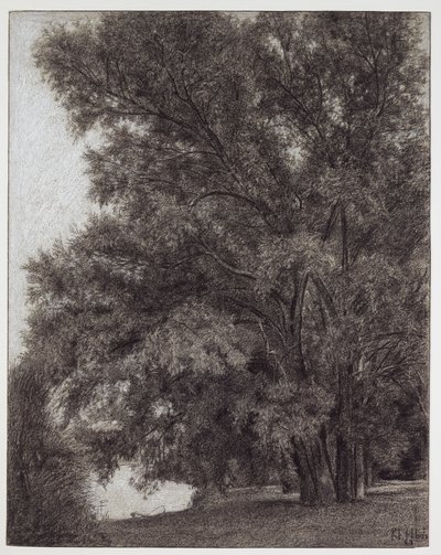 Grupo de árvores no parque do palácio de Kleinheubach de Louis Eysen
