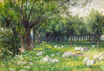 Ovelhas em um pomar na primavera de Louis Fairfax Muckley
