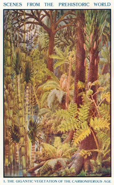 A Vegetação Gigantesca da Era Carbonífera (litografia a cores) de Louis Fairfax Muckley