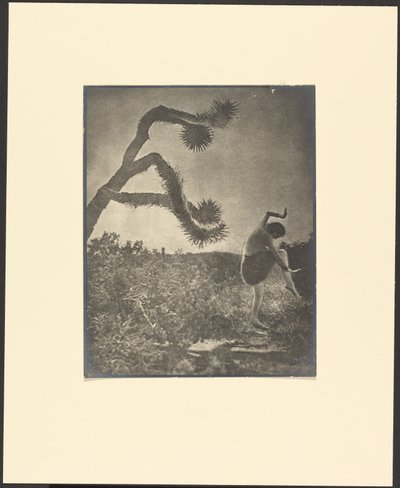 Dança Apache de Louis Fleckenstein