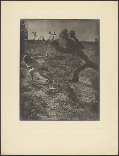 O Bicho-papão do Deserto de Louis Fleckenstein