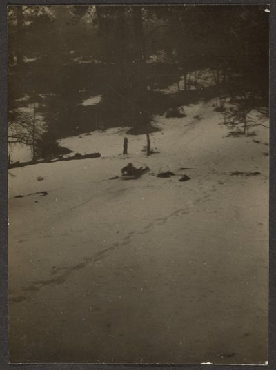 [Criança a descer a colina de trenó]. de Louis Fleckenstein