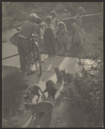 [Crianças e gatos] de Louis Fleckenstein