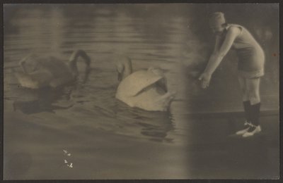 [Composição de cisnes e mergulhador]. de Louis Fleckenstein