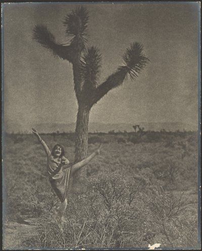 [Dançarina em Joshua Tree] de Louis Fleckenstein