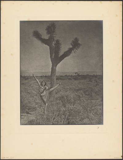 [Dançarina em Joshua Tree] de Louis Fleckenstein