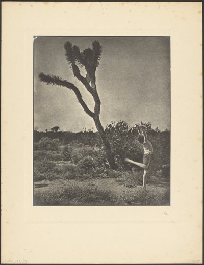[Dançarina em Joshua Tree] de Louis Fleckenstein