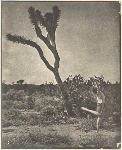 [Bailarino em Joshua Tree] de Louis Fleckenstein