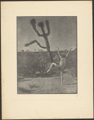 Mestre de dança de Louis Fleckenstein