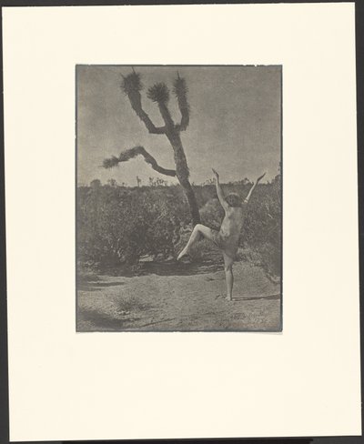Mestre de dança de Louis Fleckenstein