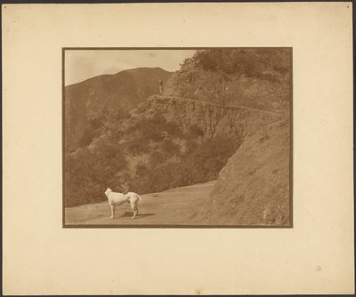 [Cão e mulher numa paisagem montanhosa] de Louis Fleckenstein