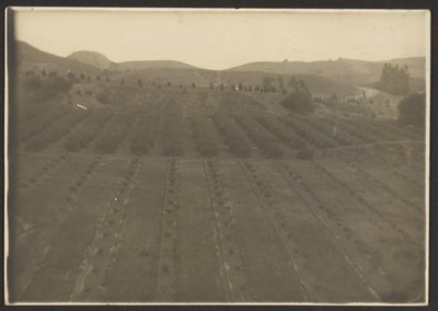 [Paisagem agrícola]. de Louis Fleckenstein