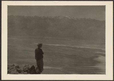 [Figura com vista para a costa]. de Louis Fleckenstein